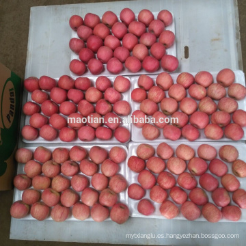 Exportador de manzana Fuji en China